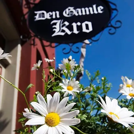 Hotel Den Gamle Ved Slot 4*