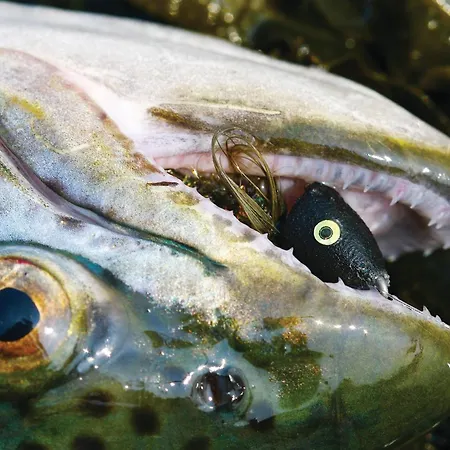 Hotel Den Gamle Ved Slot Gram