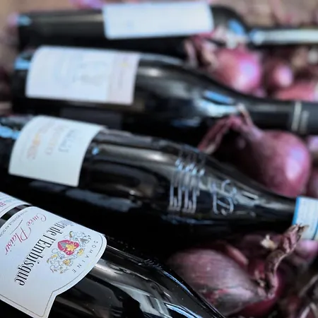 Den Gamle Ved Slot 4* Gram