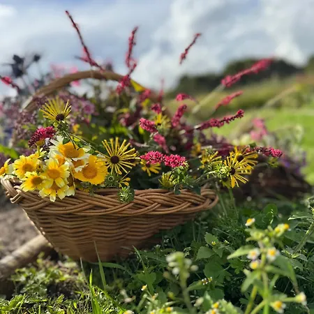 Hotel Den Gamle Ved Slot